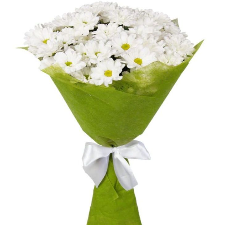 Белое облако от 4 393 руб.